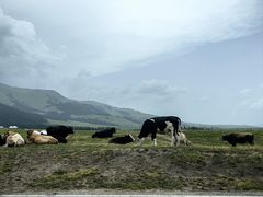 -新疆那拉提国家旅游度假区