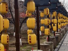 -大槐树寻根祭祖园