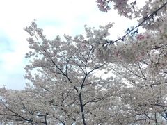 -杭州少年儿童公园