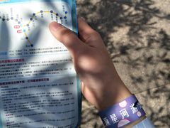 -大信·云顶星河游乐王国