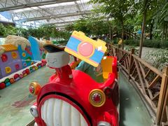 -南宫五洲植物乐园