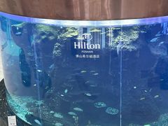 -OPEN開全日自助餐厅·西餐·海鲜(佛山希尔顿酒店)