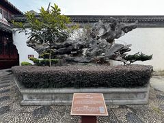 -檀园