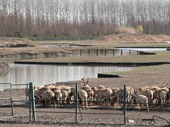 -溱湖国家湿地公园