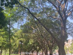 -晓港公园