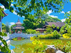 -顺峰山公园