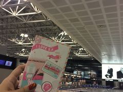 -米兰马尔彭萨国际机场