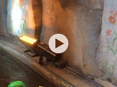 巧渡通天河-南宫五洲植物乐园