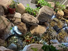 -清真·京华源铜锅涮肉(丰庆店)