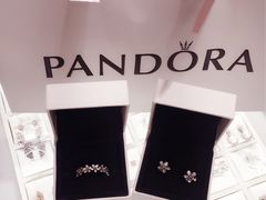 -Pandora潘多拉珠宝(宝山万达广场店)