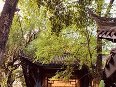 -大妙火锅·非物质文化遗产(东湖公园店)