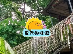 -南丹山森林王国