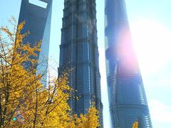 -陆家嘴中心绿地