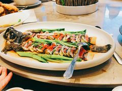 -梧桐人家中国太平国际健康颐养社区