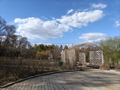 -黑龙江省森林植物园