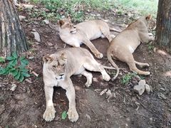 -西安秦岭野生动物园