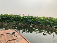 -白洋淀景区