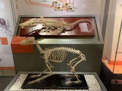 -国家自然博物馆