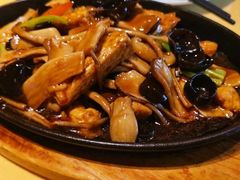 -素虎小呆鸟(西二旗店)