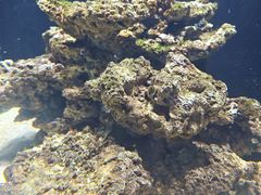 -海合安武汉极地海洋公园