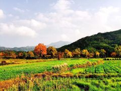 -塔川景区
