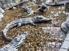 -龙达温泉生态城