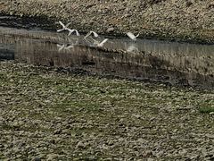-成都南湖公园