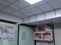 -半岛宠物医院24小时(科华中路店)
