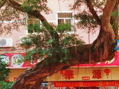 -华源餐厅·海鲜大排档(日月贝店)