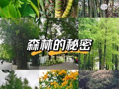 -晓港公园