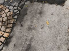 -瑞穗牧场