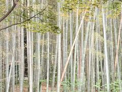 -杭州黄龙洞