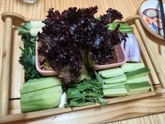 -老江南春·中国龙菜(衡山路店)