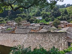 -杨家堂村