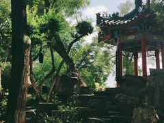 -莲湖公园