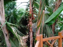 -石家庄市植物园