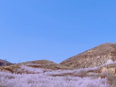 -桑干河大峡谷旅游区