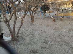 -森林公园(尖草坪区)