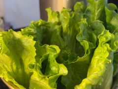 -熊大·鲜烤黄牛肉(五山店)