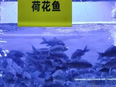 -陈先进鱼馆·夜宵·地道农家菜(湖墅南路店)