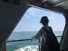 -长岛万鸟岛