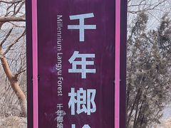 -焦作青龙峡风景名胜区