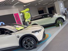 -上海浦东smart汽车全功能店(金桥店)