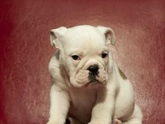 -仟吉(沿港路店)