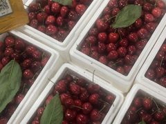 -沈阳市八家子水果批发市场