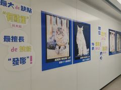 -十年猫舍·猫咪专门店(普陀店)