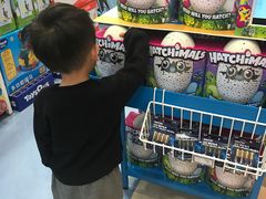 -TOYSRUS玩具反斗城(同德广场店)