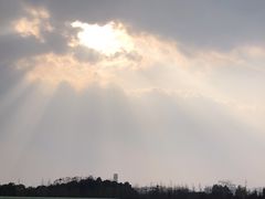 -白鹭湾湿地公园