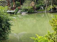 -云溪植物园