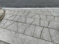 -苏州河梦清园环保主题公园